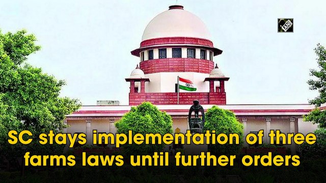 SC stays implementation of three farms laws until further orders