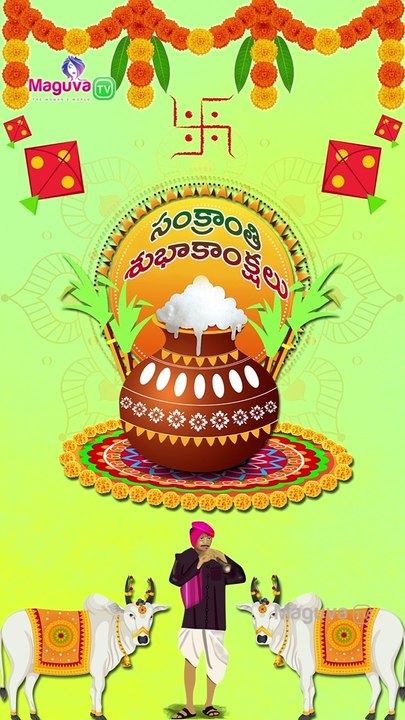 Happy Sankranti 2021 wishes | Pongal Video Greetings| Pongal Whatsapp Status video| Maguva tv