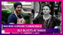 Bigg Boss 14 Episode 73 Sneak Peek 01 | Jan 12 2020: Aly Goni Blasts at Rakhi Sawant