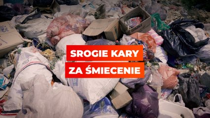 Srogie kary za śmiecenie