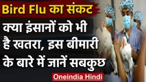 Bird Flu Crisis: क्या इंसानों को भी है खतरा, इस बीमारी के बारे में जानें सबकुछ | वनइंडिया हिंदी