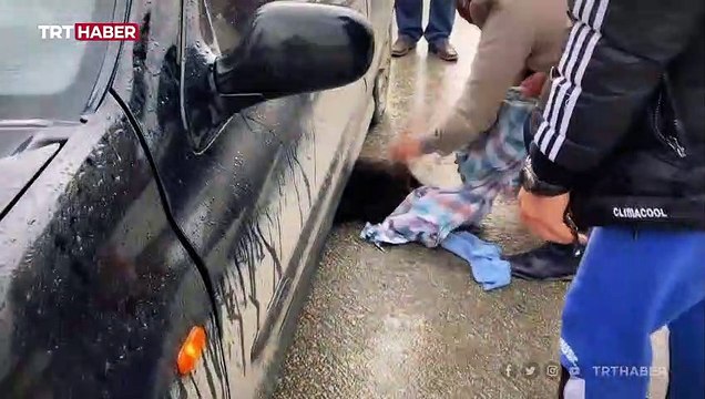 Yaralı köpeği veterinere yetiştirdi