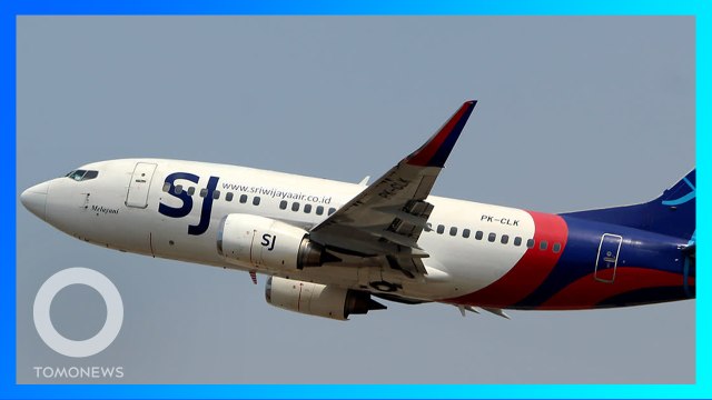 【印尼62人客機墜毀】解析三佛齊航空737-500系列