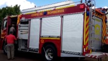 ONG pede ajuda do Corpo de Bombeiros para capturar animal em condições de abandono, no Cascavel Velho