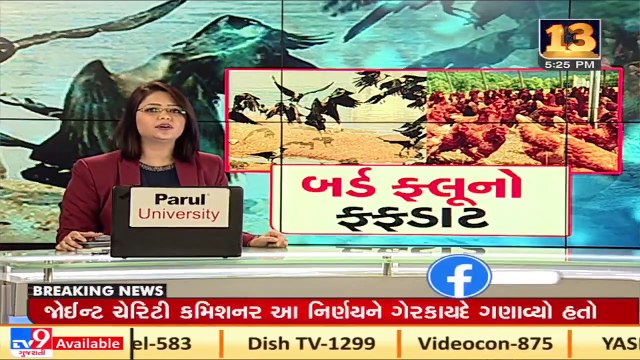 Four bird samples test negative for bird flu, Mehsana _ Tv9GujaratiNews A28
