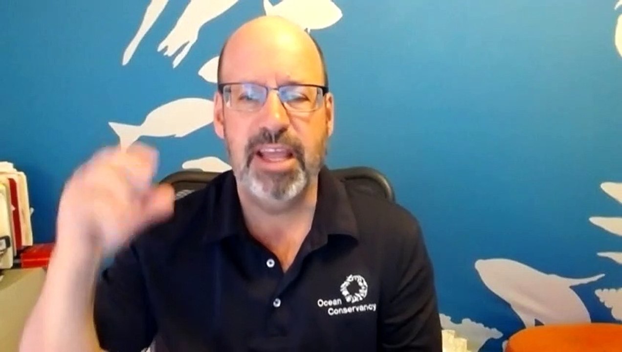 Gefährlicher Müll: Masken können Tiere töten