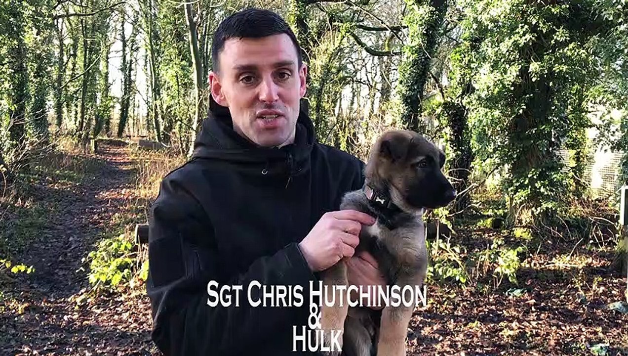 Lancashire Police's newest recruit 9 week old Hulk, with trainer Sgt Chris Hutchinson