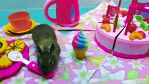 Sweet & Dessert Table for My funny pets Huge birthday cake & tea party How to feed and cheer pets