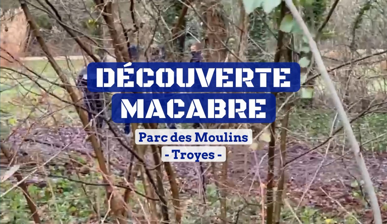 Découverte macabre au Parc des Moulins à Troyes