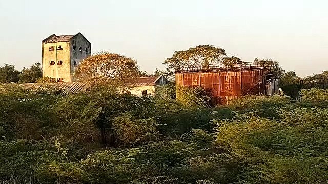 भूपालसागर शुगर मिल की 4228 बीघा जमीन सरकार के पास