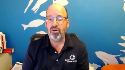 Szájmaszk: az embereket megmenti, az állatokat veszélyezteti