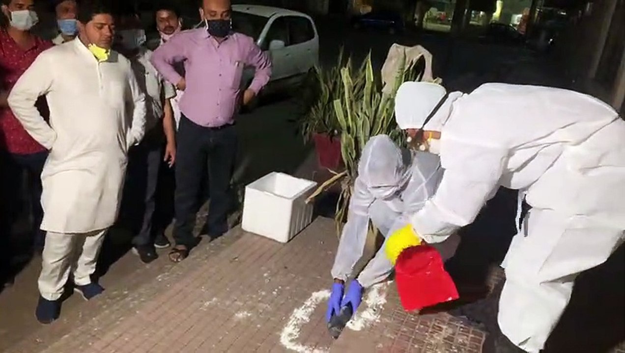 छत्तीसगढ़ : रायपुर में बर्ड फ्लू की आशंका, पंडरी...