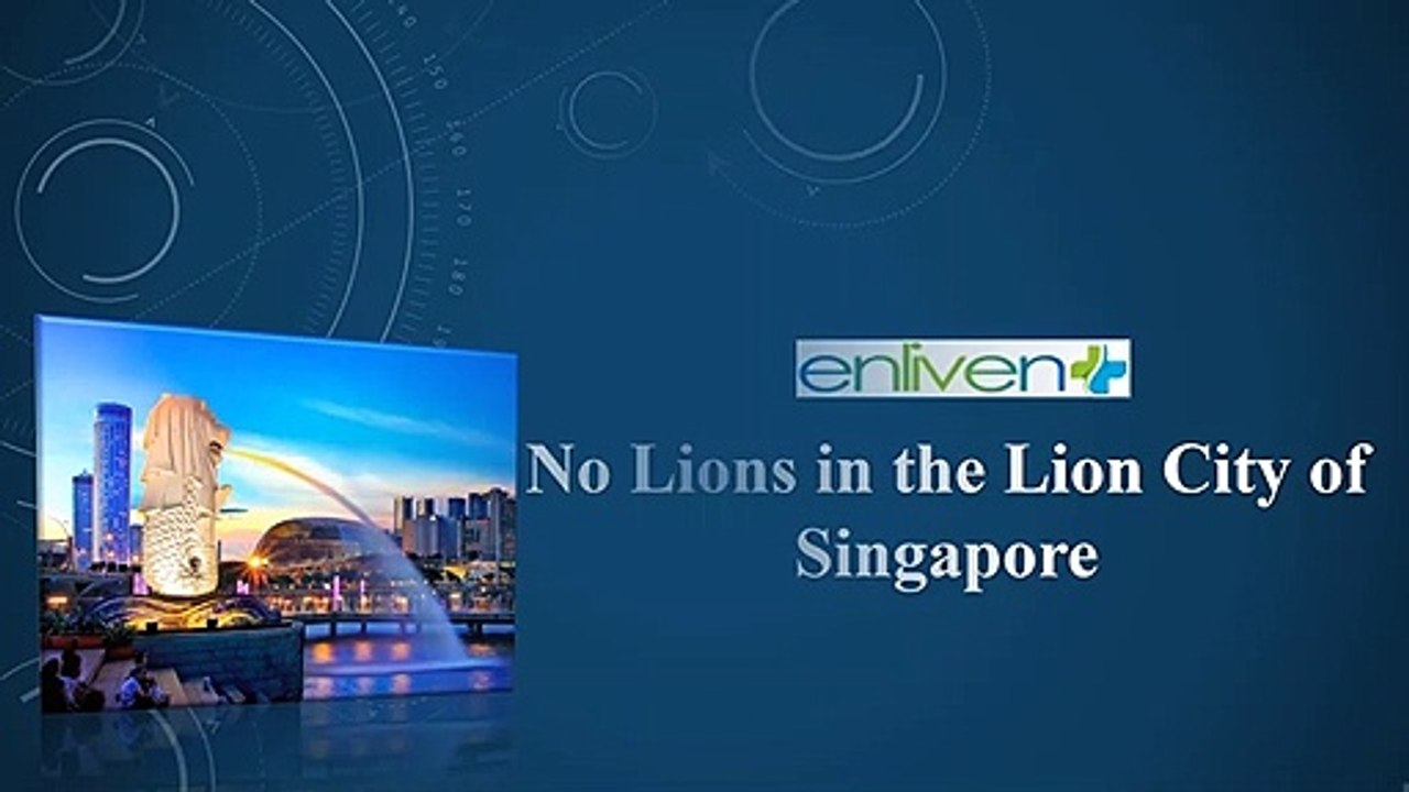 No Lions in the Lion City of Singapore.