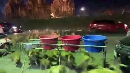 Les singes détestent les feux d'artifice