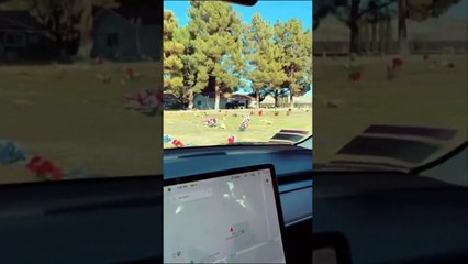 Tesla deteta pessoa a andar num cemitério sem que ninguém lá esteja... WTF!