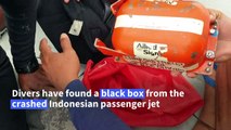 Indonesia recovers first black box from crashed plane