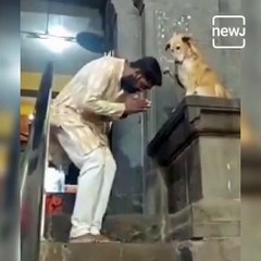 This Dog’s Video Gone Viral On Social Media