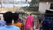 حديقة حيوانات بنغلادشية تبحث عن رفيق لأنثى وحيد قرن تشعر...بالوحدة