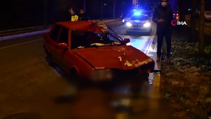 Ahırdan kaçan at, kazada telef oldu