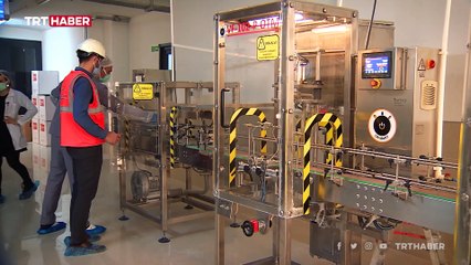 Ordu'da çıkarılıyor, 71 ülkeye ihraç ediliyor