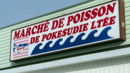 Pêche à l’éperlan : début de saison difficile pour les pêcheurs et les commerces