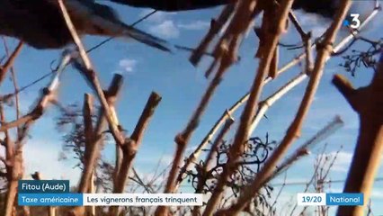 Taxe Trump : un nouveau coup dur pour les viticulteurs français