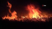 Beyşehir Gölü Milli Parkı'ndaki sazlıklar alev alev yandı