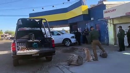 ¡En busca de Margarito! Catean expendio de cerveza tras casi dos meses de la desaparición del jubilado de la UAS