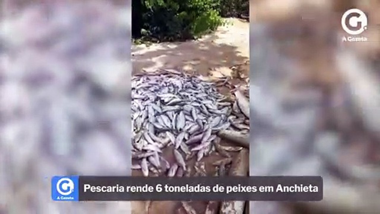Pescaria rende 6 toneladas de peixes em Anchieta