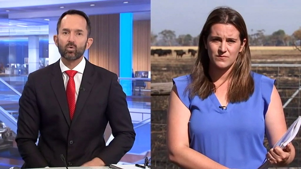 CFS bracing for severe fire conditions in SA