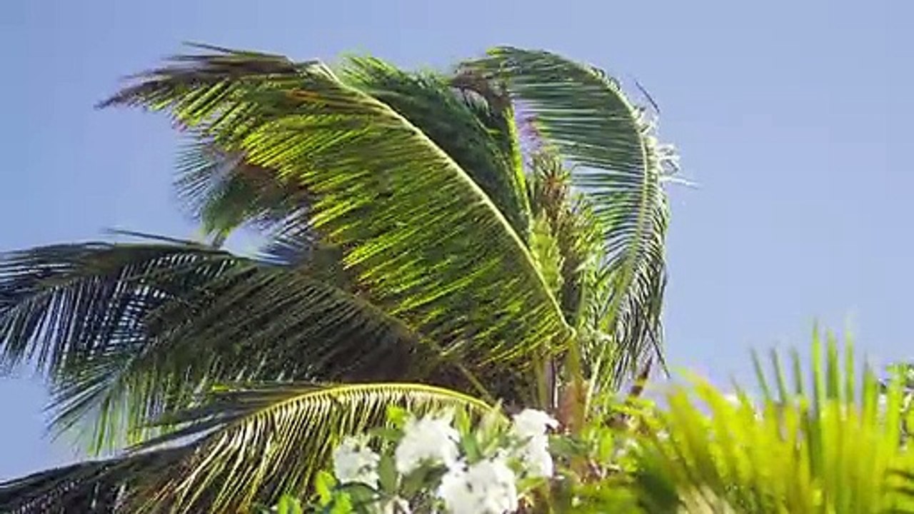 Wadigi Private Island Resort | Mamanuca Islands | Fiji