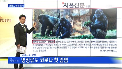 신문브리핑3 "영장류도 코로나 첫 감염"외 주요기사