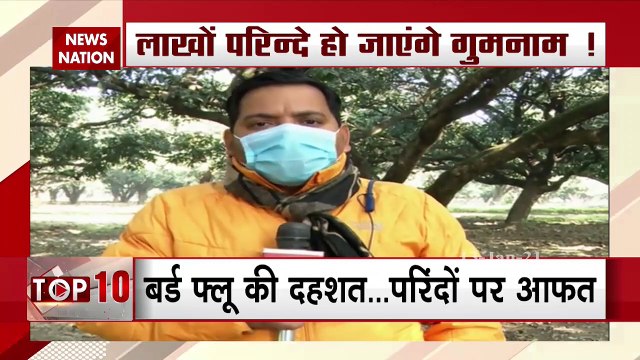 Bird Flu Havoc: Many species of birds likely to extinct