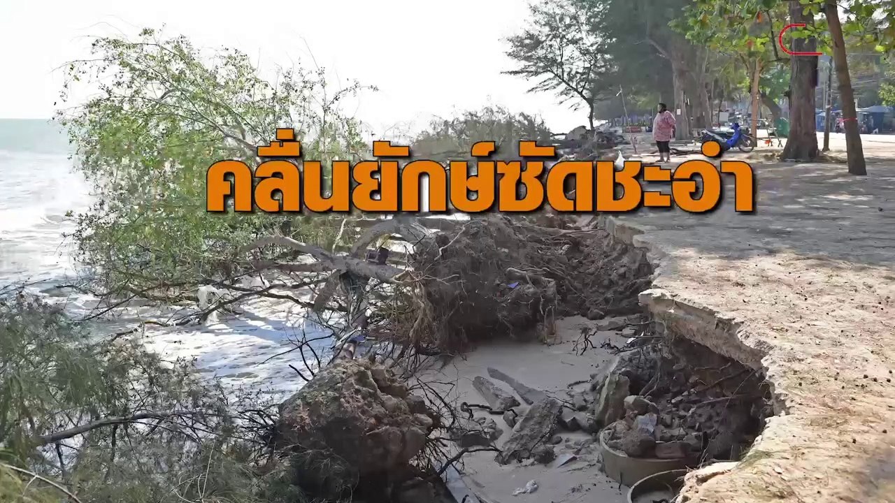 คลื่นยักษ์ซัดชะอำ ชายหาดทรุด ยาว 200 เมตร ต้นสนโค่นนับสิบ
