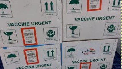 First consignment of Covaxin arrive in Delhi
