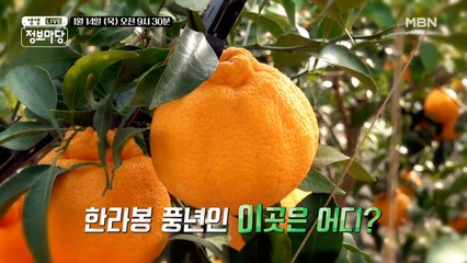 생생 정보마당 [799회] - 여유 있는 목요일