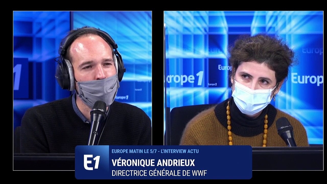 Déforestation : "La forêt nous protège des maladies", rappelle Véronique Andrieux