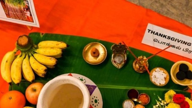 Political parties turn to Pongal to woo voters ahead of Tamil Nadu polls
