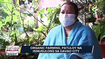 #PTVBalitaNgayon | Organic farming, patuloy na isinusulong sa Davao City