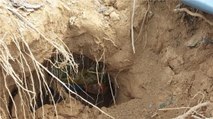 BSF detects tunnel along India-Pakistan border in Samba