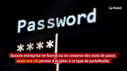 Des millionnaires du bitcoin désemparés après avoir perdu leurs mots de passe