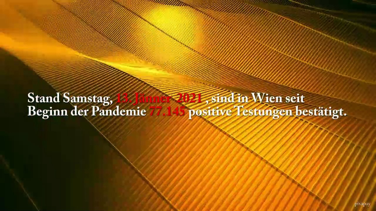 Wien | Corona Kennzahlen | 13. Jänner 2021