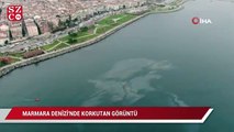 Marmara Denizi’nde ürküten görüntü