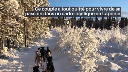 Londres : des bulles chauffées pour manger dehors en plein hiver et profiter de la beauté de la ville_IN