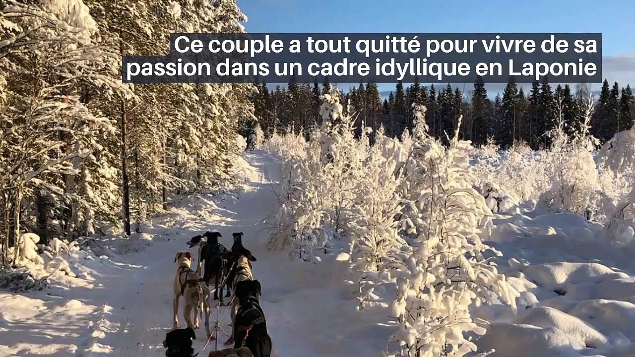 Londres : des bulles chauffées pour manger dehors en plein hiver et profiter de la beauté de la ville_IN