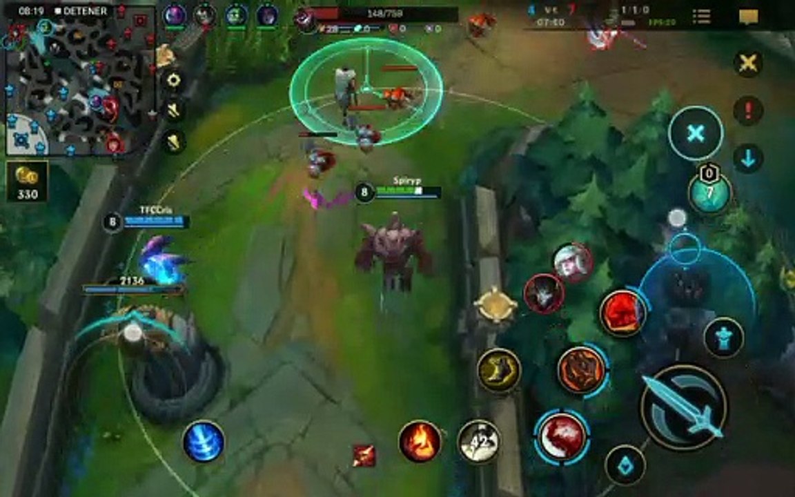 Support: Malphite