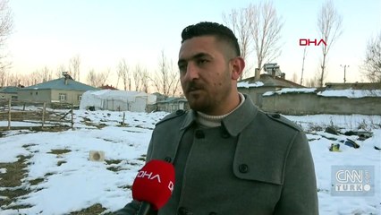 Kargalar mahalleyi mesken tuttu | Video