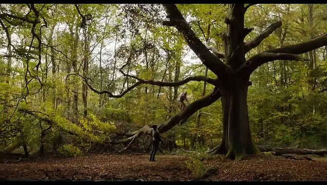 YOU SHOULD HAVE LEFT Trailer (2020) Amanda Seyfried, Kevin Bacon Movie HD