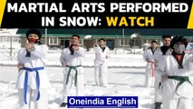 Artists performed Taekwondo in a snow-clad rink in South Kashmir’s Pahalgam: Watch | Oneindia News