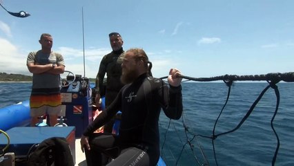 Shark nets: the 'curtains of death' protecting South Africa's beaches